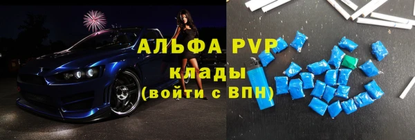 индика Инсар