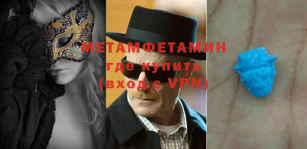 индика Инсар