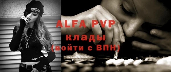 apvp Каменка