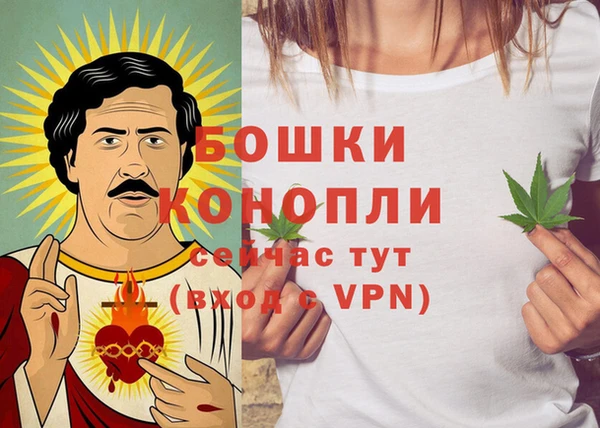 индика Инсар
