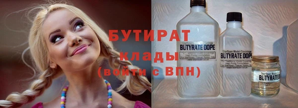 индика Инсар