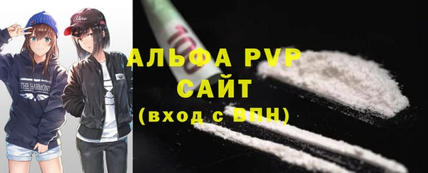 спиды Инта