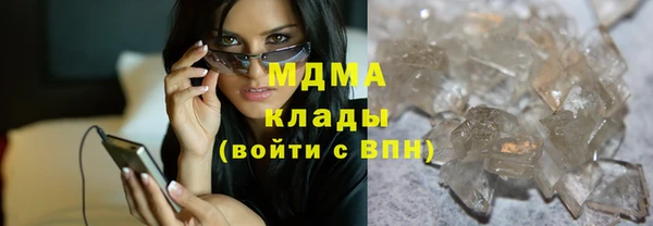 индика Инсар