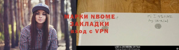 индика Инсар