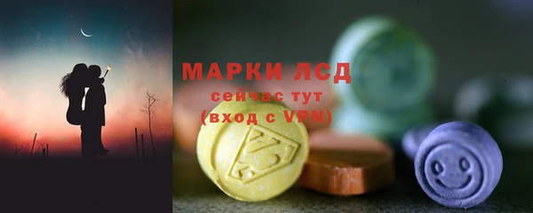 индика Инсар