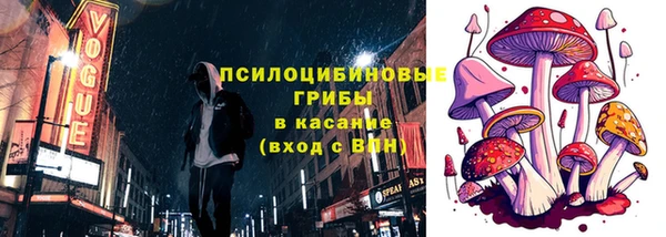индика Инсар