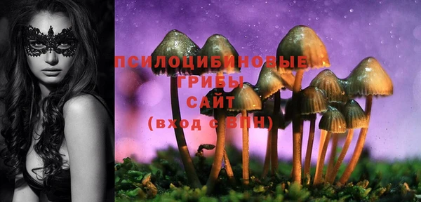 спиды Инта
