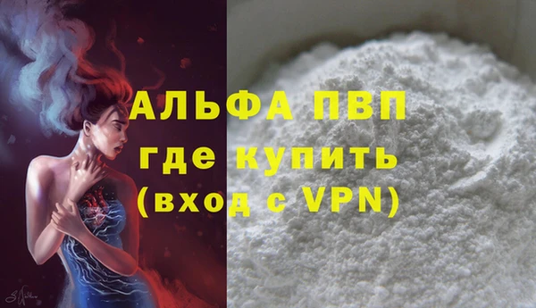 apvp Каменка
