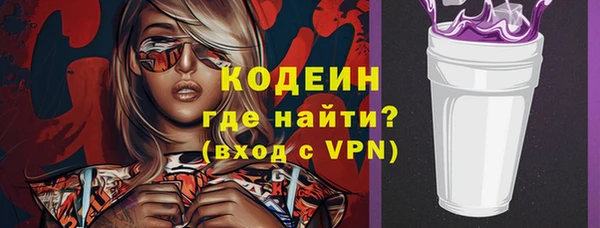 apvp Каменка