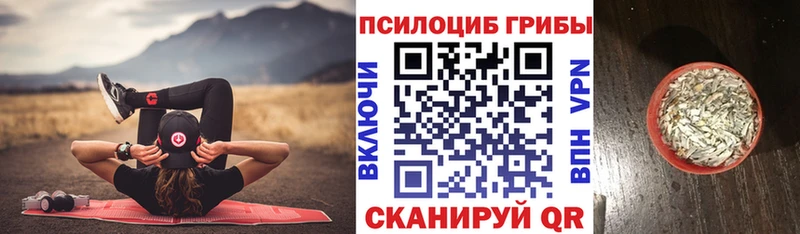 купить   Череповец  Псилоцибиновые грибы Magic Shrooms 