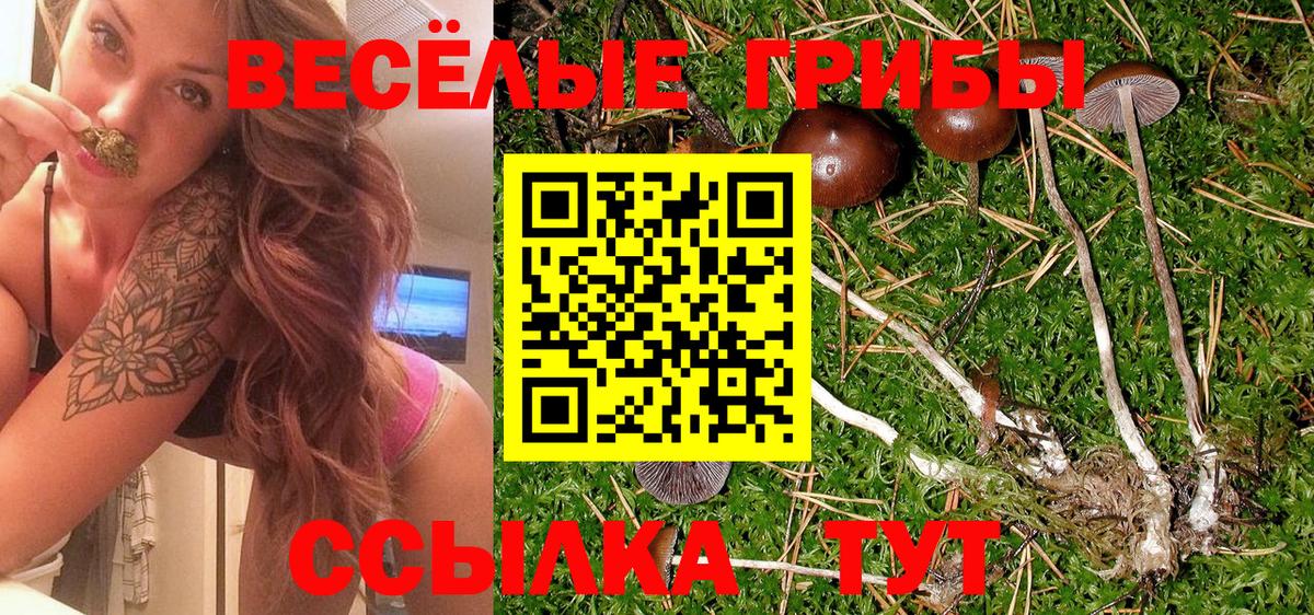 Псилоцибиновые грибы мицелий  Псилоцибиновые грибы мицелий  Вход с VPN  наркота  Череповец 